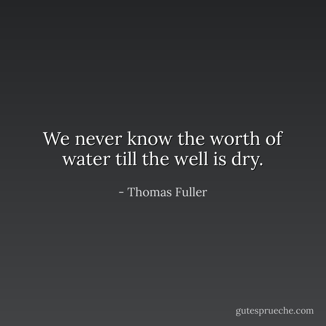 We never know the worth of water till the well is dry. - Thomas Fuller