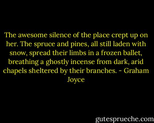 The awesome silence of the place crept up on her. The spruce and pines, all still laden with snow, spread their limbs in a frozen ballet, breathing a ghostly incense from dark, arid chapels sheltered by their branches. - Graham Joyce