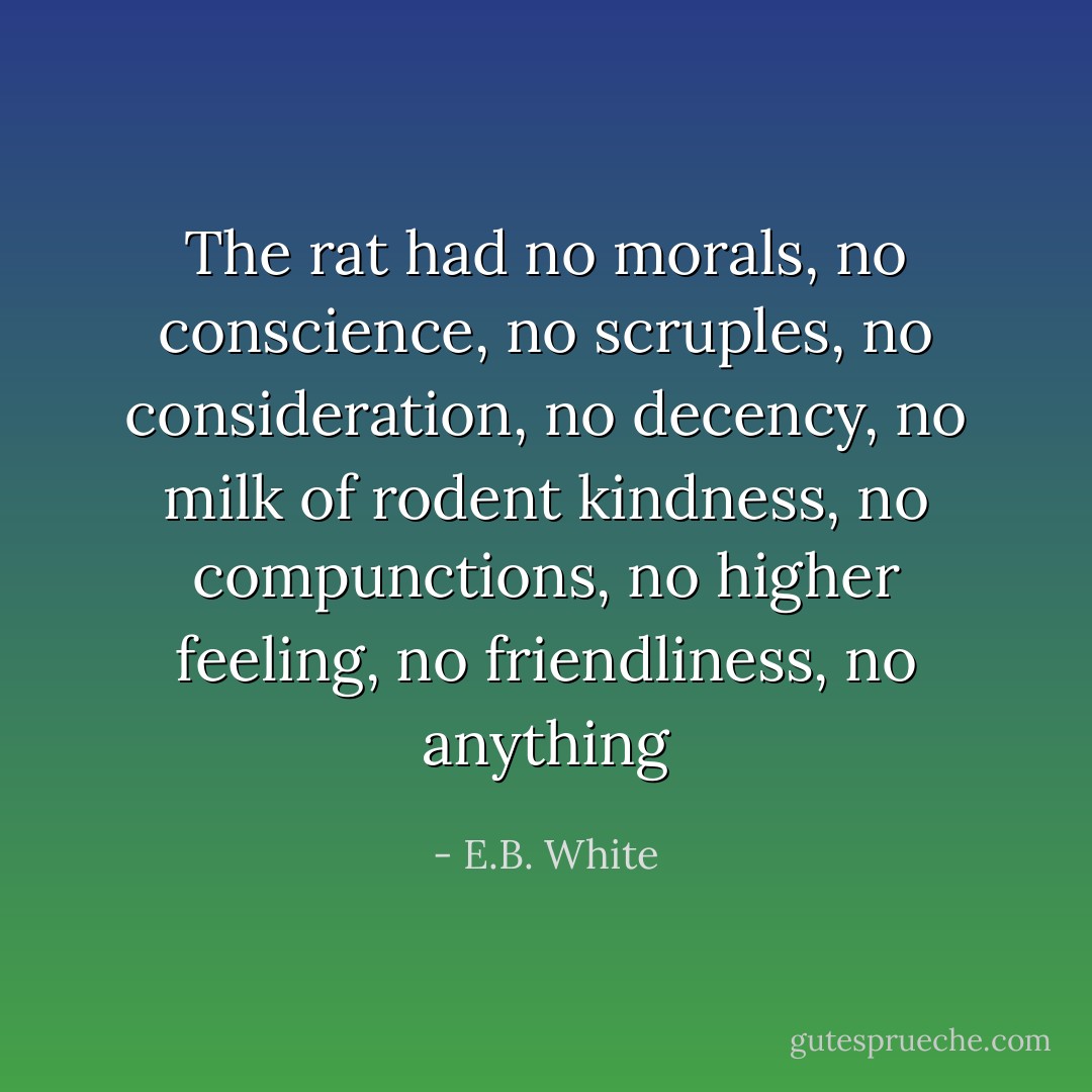 The rat had no morals, no conscience, no scruples, no consideration, no decency, no milk of rodent kindness, no compunctions, no higher feeling, no friendliness, no anything - E.B. White