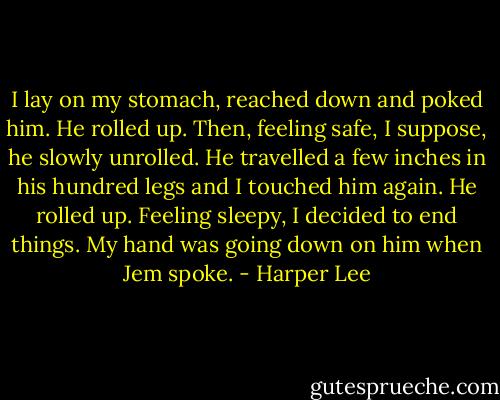 I lay on my stomach, reached down and poked him. He rolled up. Then, feeling safe, I suppose, he slowly unrolled. He travelled a few inches in his hundred legs and I touched him again. He rolled up. Feeling sleepy, I decided to end things. My hand was going down on him when Jem spoke. - Harper Lee