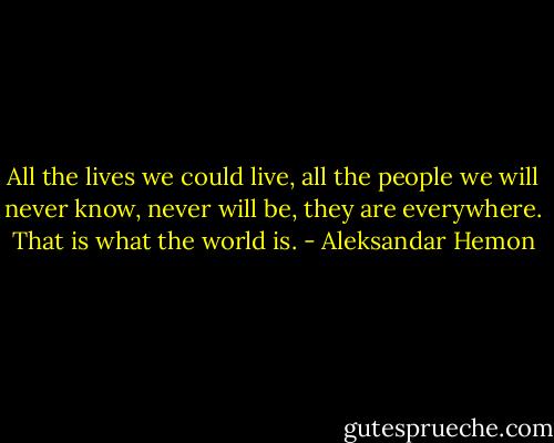 All the lives we could live, all the people we will never know, never will be, they are everywhere. That is what the world is. - Aleksandar Hemon