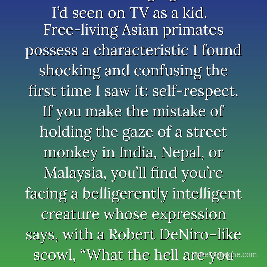 I’d been traveling in Asia long enough to know that monkeys there are nothing like their trombone-playing, tambourine-banging cousins I’d seen on TV as a kid. <br /><br />Free-living Asian primates possess a characteristic I found shocking and confusing the first time I saw it: self-respect. If you make the mistake of holding the gaze of a street monkey in India, Nepal, or Malaysia, you’ll find you’re facing a belligerently intelligent creature whose expression says, with a Robert DeNiro–like scowl, “What the hell are you looking at? You wanna piece of me?” <br /><br />Forget about putting one of these guys in a little red vest. - Christopher  Ryan