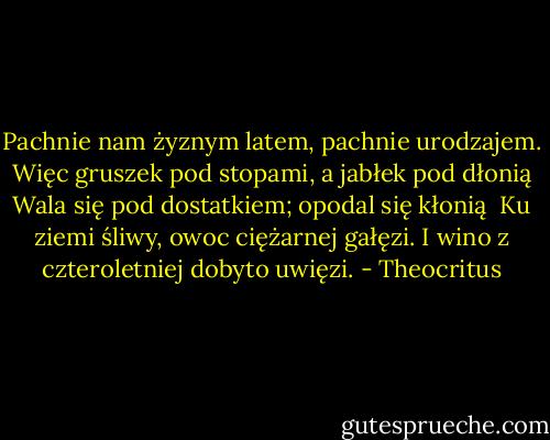 Pachnie nam żyznym latem, pachnie urodzajem.<br />Więc gruszek pod stopami, a jabłek pod dłonią<br />Wala się pod dostatkiem; opodal się kłonią <br />Ku ziemi śliwy, owoc ciężarnej gałęzi.<br />I wino z czteroletniej dobyto uwięzi. - Theocritus