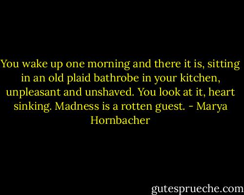 You wake up one morning and there it is, sitting in an old plaid bathrobe in your kitchen, unpleasant and unshaved. You look at it, heart sinking. Madness is a rotten guest. - Marya Hornbacher