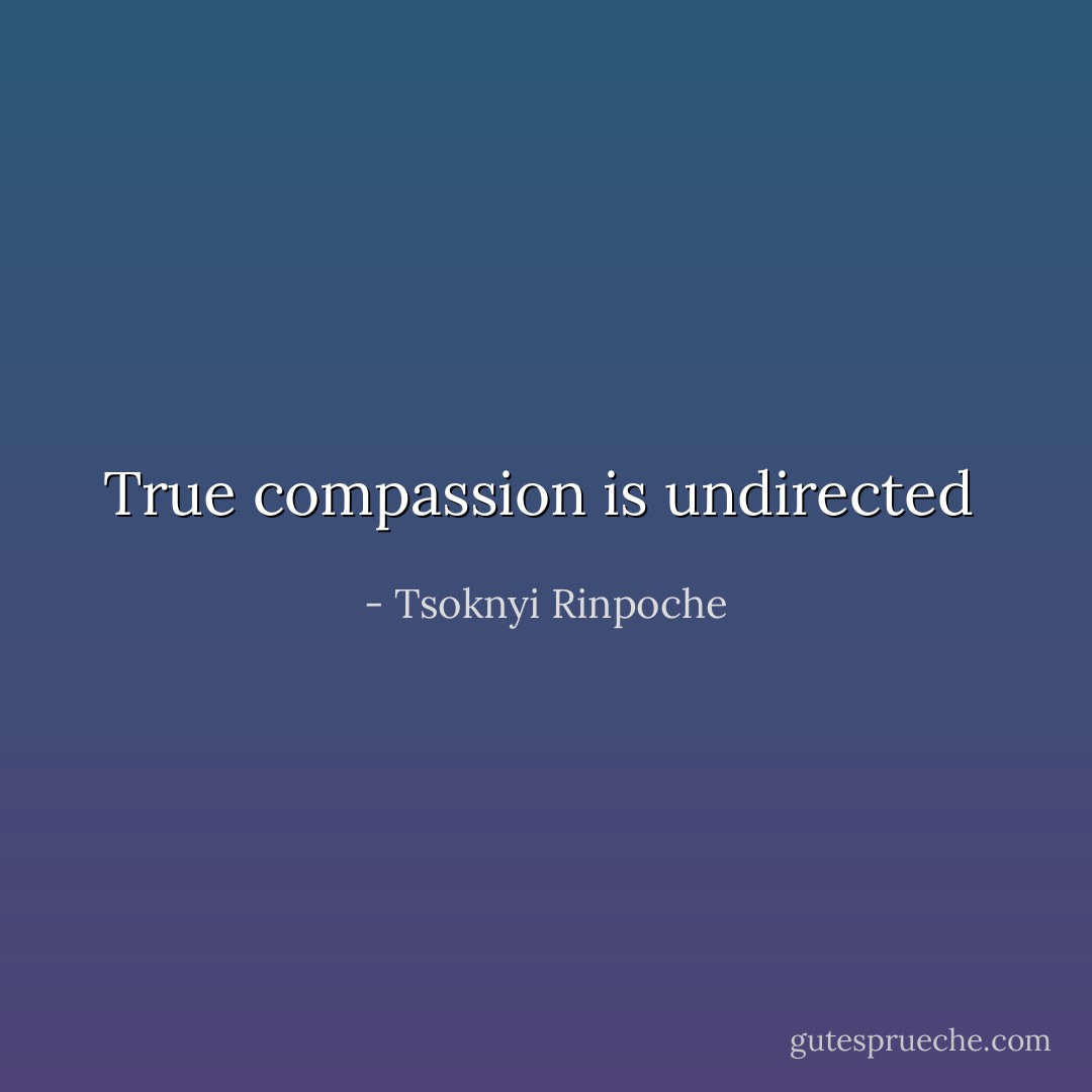 True compassion is undirected  - Tsoknyi Rinpoche