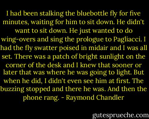 I had been stalking the bluebottle fly for five minutes, waiting for him to sit down. He didn't want to sit down. He just wanted to do wing-overs and sing the prologue to Pagliacci. I had the fly swatter poised in midair and I was all set. There was a patch of bright sunlight on the corner of the desk and I knew that sooner or later that was where he was going to light. But when he did, I didn't even see him at first. The buzzing stopped and there he was. And then the phone rang. - Raymond Chandler