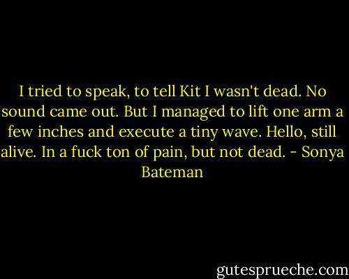 I tried to speak, to tell Kit I wasn't dead. No sound came out. But I managed to lift one arm a few inches and execute a tiny wave. Hello, still alive. In a fuck ton of pain, but not dead. - Sonya Bateman