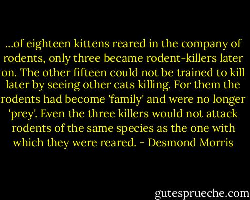 ...of eighteen kittens reared in the company of rodents, only three became rodent-killers later on. The other fifteen could not be trained to kill later by seeing other cats killing. For them the rodents had become 'family' and were no longer 'prey'. Even the three killers would not attack rodents of the same species as the one with which they were reared. - Desmond Morris
