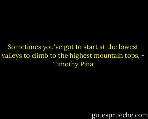 Sometimes you've got to start at the lowest valleys to climb to the highest mountain tops. - Timothy Pina