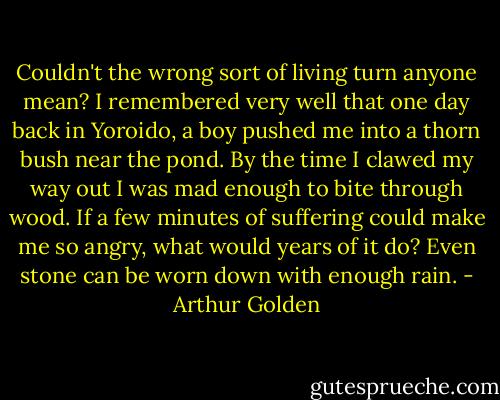 Couldn't the wrong sort of living turn anyone mean? I remembered very well that one day back in Yoroido, a boy pushed me into a thorn bush near the pond. By the time I clawed my way out I was mad enough to bite through wood. If a few minutes of suffering could make me so angry, what would years of it do? Even stone can be worn down with enough rain. - Arthur Golden