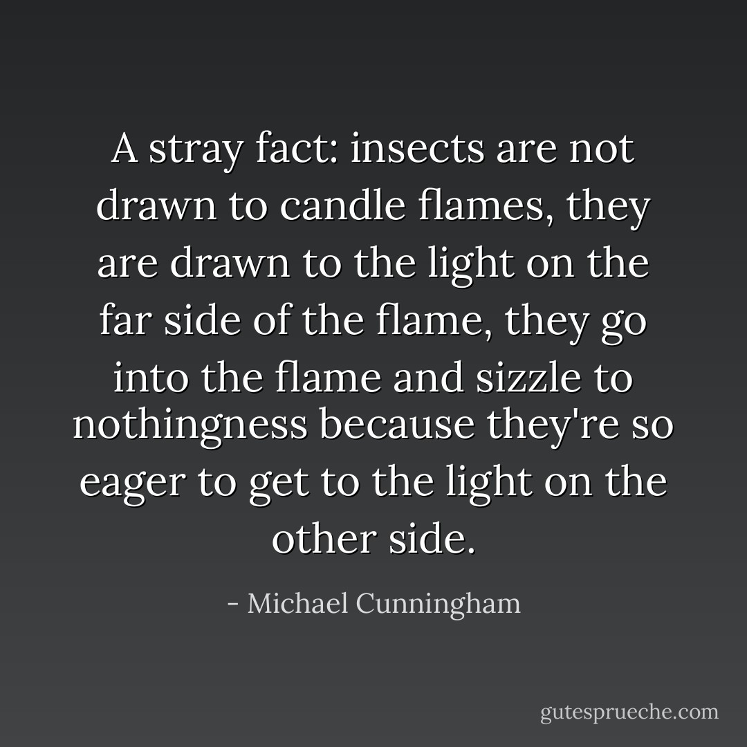 A stray fact: insects are not drawn to candle flames, they are drawn to the light on the far side of the flame, they go into the flame and sizzle to nothingness because they're so eager to get to the light on the other side. - Michael Cunningham