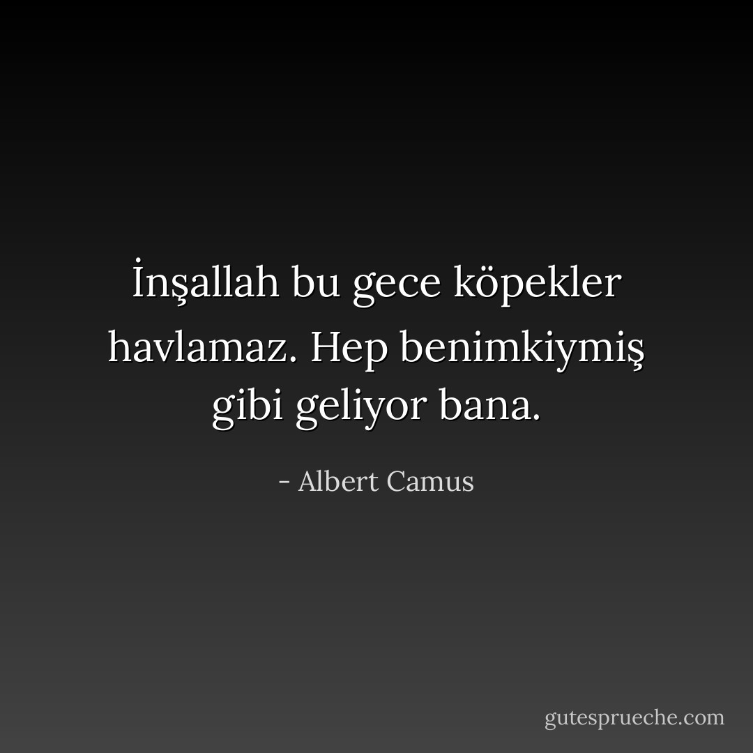 İnşallah bu gece köpekler havlamaz. Hep benimkiymiş gibi geliyor bana. - Albert Camus