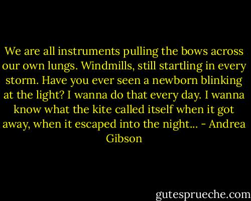 We are all instruments pulling the bows across our own lungs. Windmills, still startling in every storm. Have you ever seen a newborn blinking at the light? I wanna do that every day. I wanna know what the kite called itself when it got away, when it escaped into the night... - Andrea Gibson
