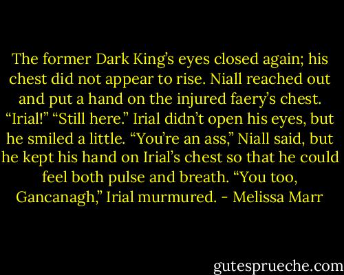 The former Dark King’s eyes closed again; his chest did not appear to rise.<br />Niall reached out and put a hand on the injured faery’s chest. “Irial!”<br />“Still here.” Irial didn’t open his eyes, but he smiled a little.<br />“You’re an ass,” Niall said, but he kept his hand on Irial’s chest so that he could feel both pulse and breath.<br />“You too, Gancanagh,” Irial murmured. - Melissa Marr