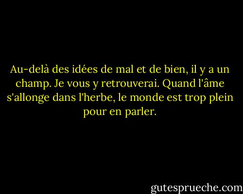 Au-delà des idées de mal et de bien, il y a un champ. Je vous y retrouverai. Quand l'âme s'allonge dans l'herbe, le monde est trop plein pour en parler. - Rumi