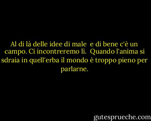 Al di là delle idee di male <br />e di bene c'è un campo.<br />Ci incontreremo lì.<br /><br />Quando l'anima si sdraia in quell'erba<br />il mondo è troppo pieno per parlarne. - Rumi