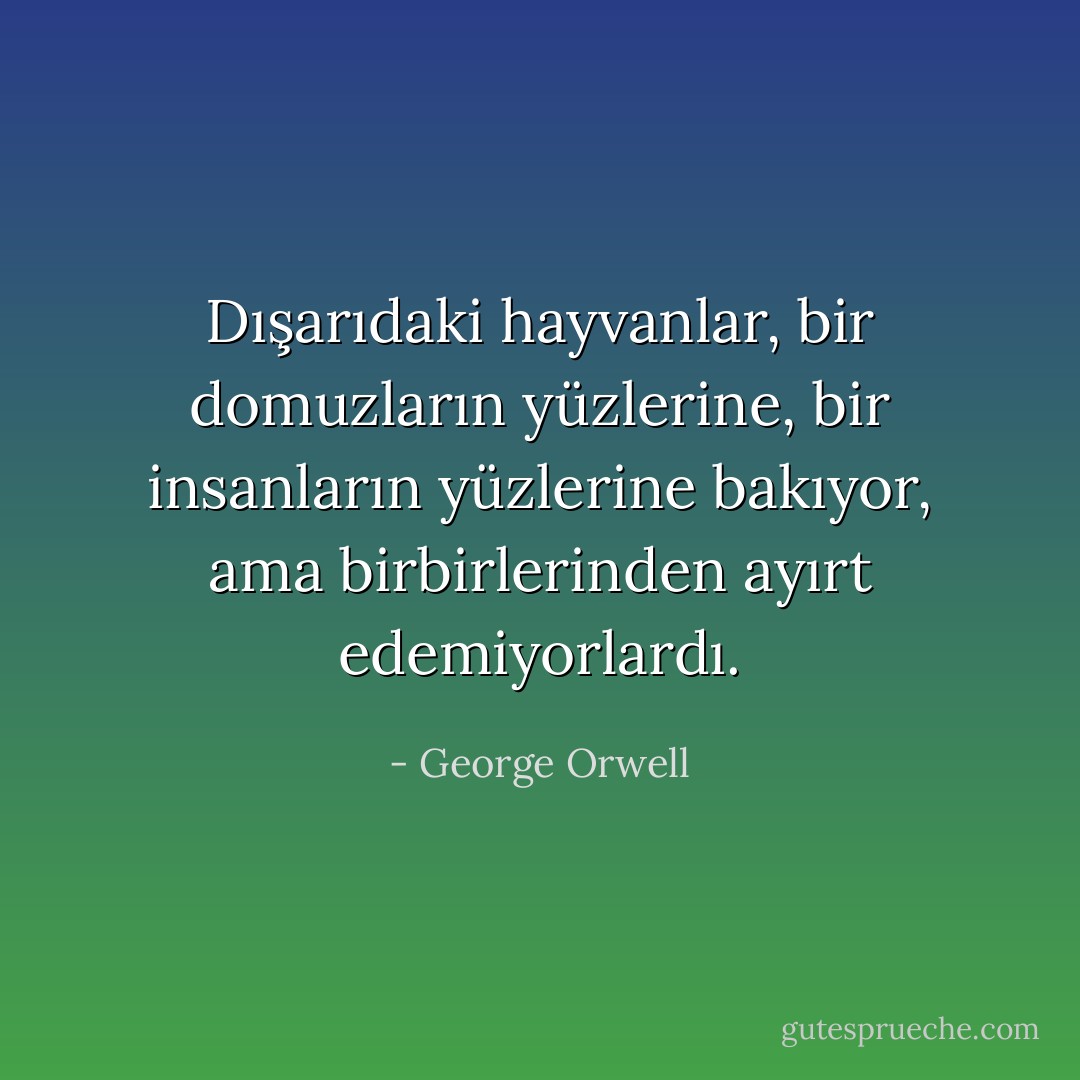 Dışarıdaki hayvanlar, bir domuzların yüzlerine, bir insanların yüzlerine bakıyor, ama birbirlerinden ayırt edemiyorlardı. - George Orwell