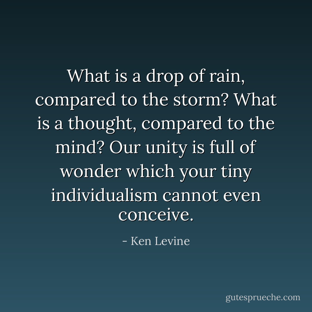 What is a drop of rain, compared to the storm? What is a thought, compared to the mind? Our unity is full of wonder which your tiny individualism cannot even conceive. - Ken Levine
