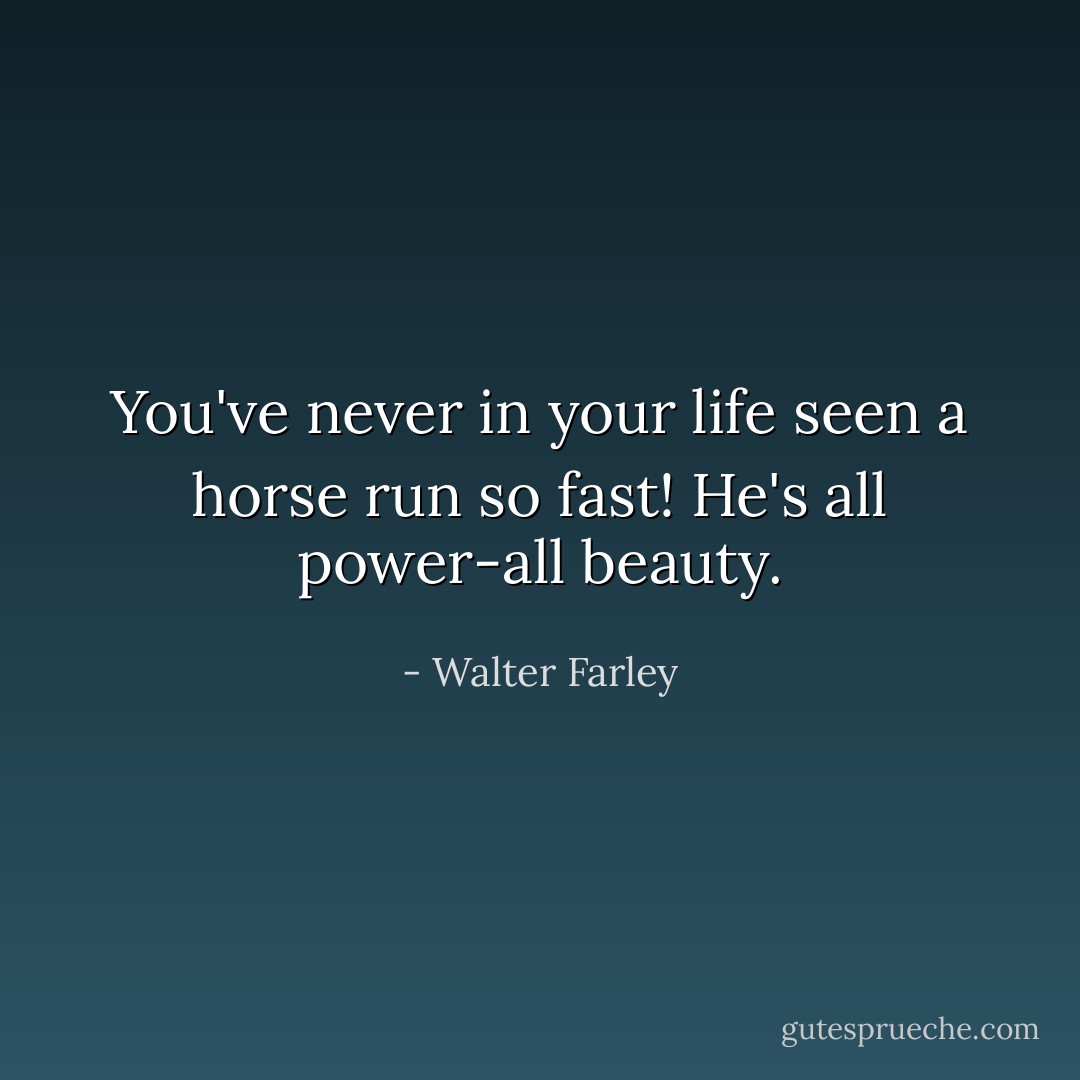 You've never in your life seen a horse run so fast! He's all power-all beauty. - Walter Farley