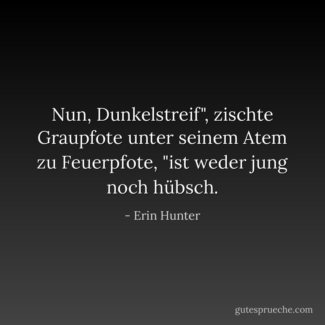 Nun, Dunkelstreif", zischte Graupfote unter seinem Atem zu Feuerpfote, "ist weder jung noch hübsch. - Erin Hunter<