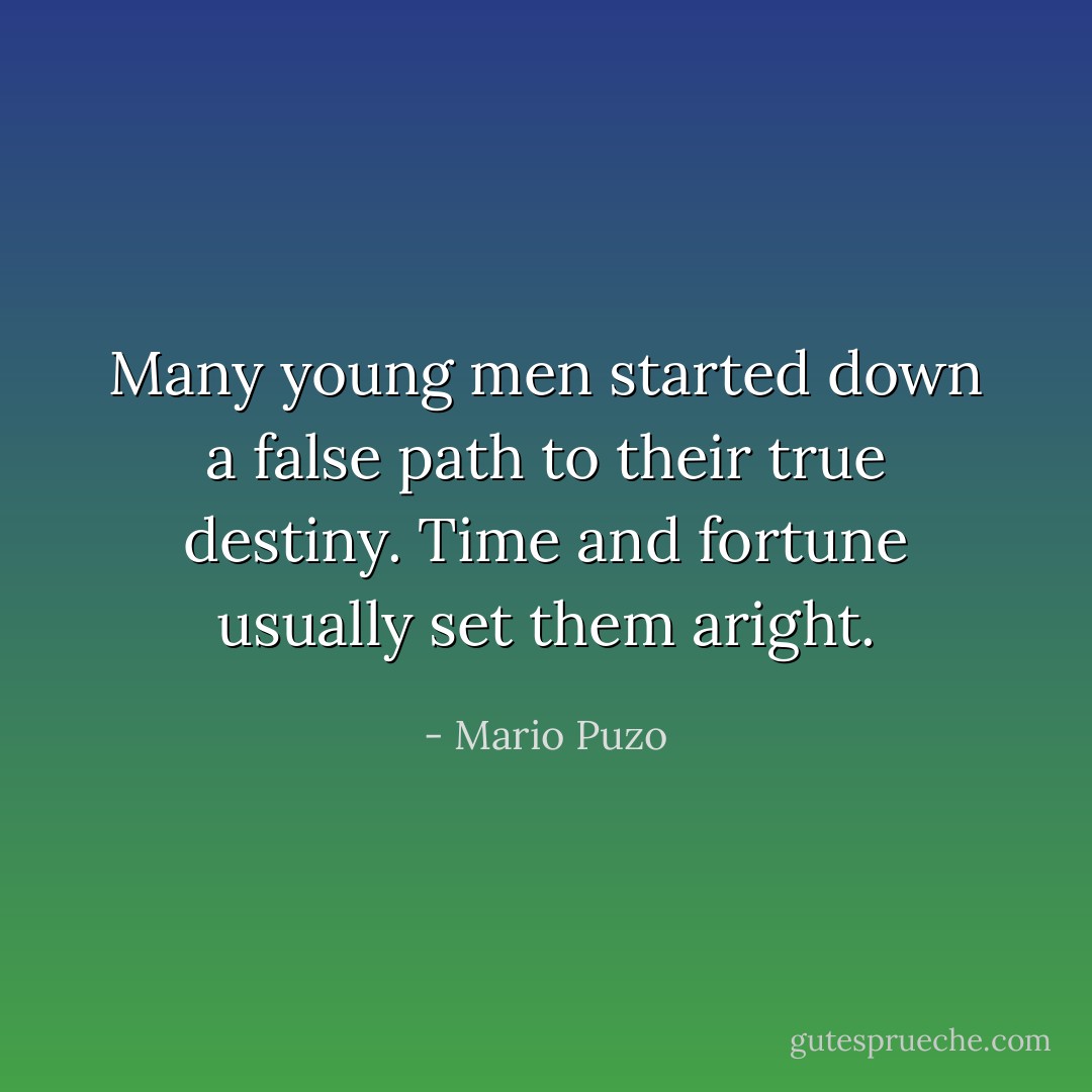 Many young men started down a false path to their true destiny. Time and fortune usually set them aright. - Mario Puzo