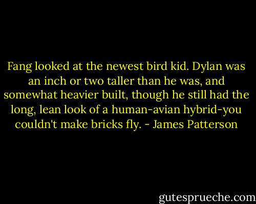 Fang looked at the newest bird kid. Dylan was an inch or two taller than he was, and somewhat heavier built, though he still had the long, lean look of a human-avian hybrid-you couldn't make bricks fly. - James Patterson