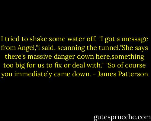 I tried to shake some water off. "I got a message from Angel,"i said, scanning the tunnel."She says there's massive danger down here,something too big for us to fix or deal with."<br />"So of course you immediately came down. - James Patterson