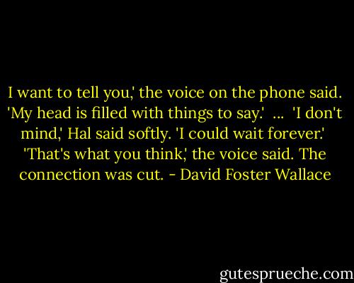 I want to tell you,' the voice on the phone said. 'My head is filled with things to say.'<br /><br />...<br /><br />'I don't mind,' Hal said softly. 'I could wait forever.'<br /><br />'That's what you think,' the voice said. The connection was cut. - David Foster Wallace