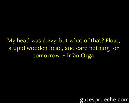 My head was dizzy, but what of that? Float, stupid wooden head, and care nothing for tomorrow. - Irfan Orga