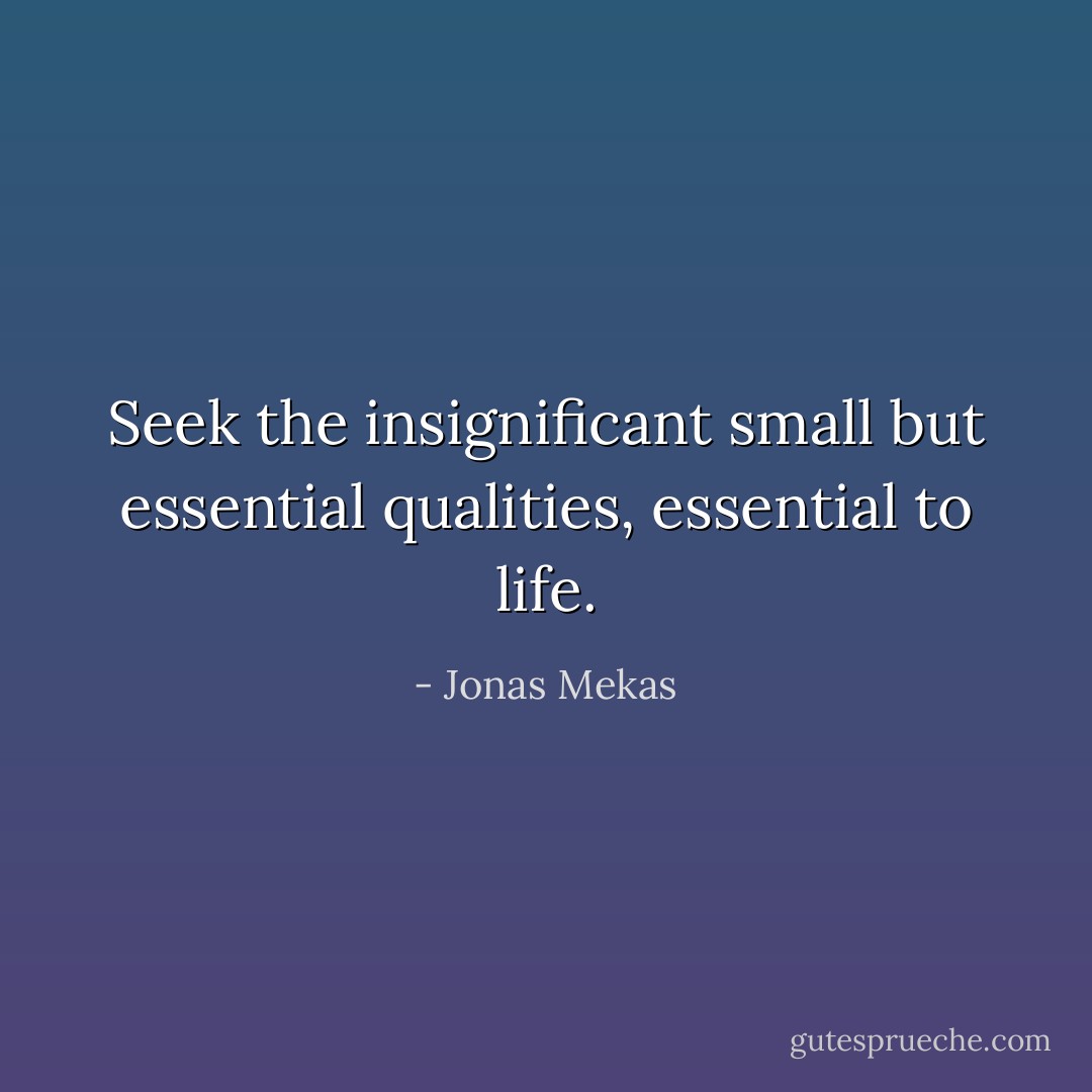 Seek the insignificant small but essential qualities, essential to life. - Jonas Mekas