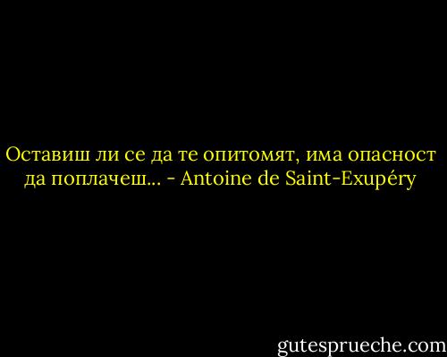 Оставиш ли се да те опитомят, има опасност да поплачеш... - Antoine de Saint-Exupéry