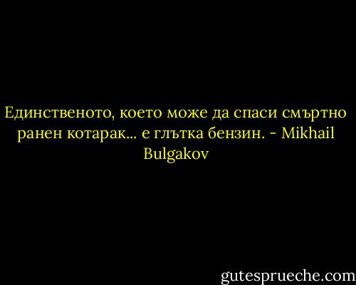 Единственото, което може да спаси смъртно ранен котарак... е глътка бензин. - Mikhail Bulgakov