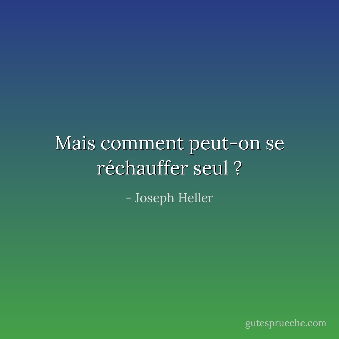 Mais comment peut-on se réchauffer seul ? - Joseph Heller
