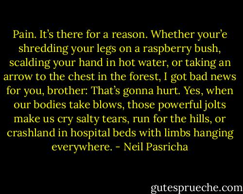 Pain. It’s there for a reason. Whether your’e shredding your legs on a raspberry bush, scalding your hand in hot water, or taking an arrow to the chest in the forest, I got bad news for you, brother: That’s gonna hurt. Yes, when our bodies take blows, those powerful jolts make us cry salty tears, run for the hills, or crashland in hospital beds with limbs hanging everywhere. - Neil Pasricha