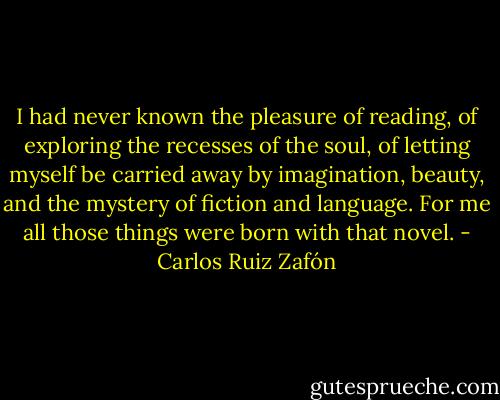 I had never known the pleasure of reading, of exploring the recesses of the soul, of letting myself be carried away by imagination, beauty, and the mystery of fiction and language. For me all those things were born with that novel. - Carlos Ruiz Zafón