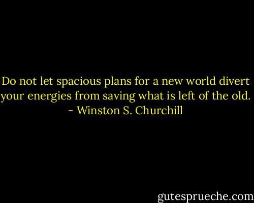 Do not let spacious plans for a new world divert your energies from saving what is left of the old. - Winston S. Churchill