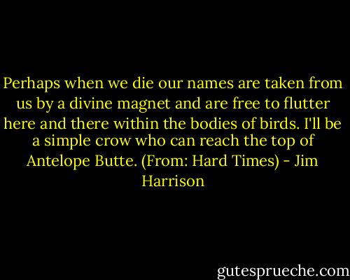 Perhaps when we die our names are taken<br />from us by a divine magnet and are free<br />to flutter here and there within the bodies of birds.<br />I'll be a simple crow<br />who can reach the top of Antelope Butte.<br />(From: Hard Times) - Jim Harrison
