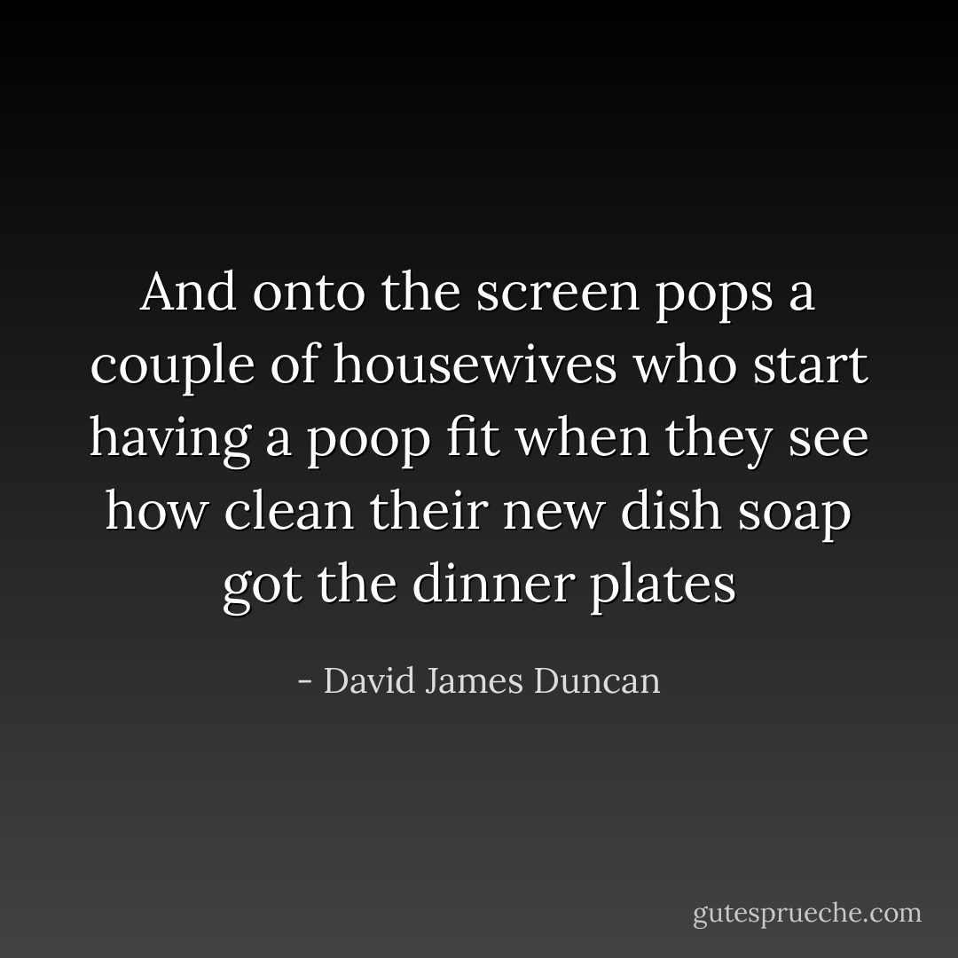 And onto the screen pops a couple of housewives who start having a poop fit when they see how clean their new dish soap got the dinner plates - David James Duncan