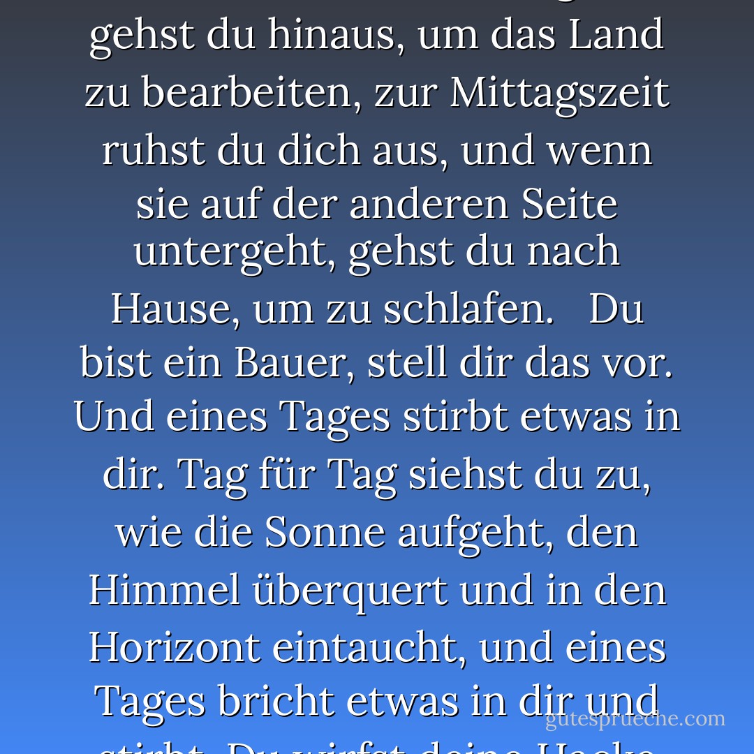 Stellen Sie sich vor, Sie sind ein Bauer und leben allein in der sibirischen Tundra. Tag für Tag bearbeitest du das Land. Soweit deine Augen sehen können, nichts. Im Norden der Horizont, im Süden der Horizont, im Osten das Gleiche, im Westen noch mehr vom Gleichen. Jeden Tag, wenn die Sonne im Osten aufgeht, gehst du hinaus, um das Land zu bearbeiten, zur Mittagszeit ruhst du dich aus, und wenn sie auf der anderen Seite untergeht, gehst du nach Hause, um zu schlafen. <br /><br />Du bist ein Bauer, stell dir das vor. Und eines Tages stirbt etwas in dir. Tag für Tag siehst du zu, wie die Sonne aufgeht, den Himmel überquert und in den Horizont eintaucht, und eines Tages bricht etwas in dir und stirbt. Du wirfst deine Hacke weg und gehst mit völlig leerem Kopf in Richtung Westen, in das Land hinter der Sonne. Wie besessen läufst du Tag und Nacht, ohne anzuhalten, ohne zu essen oder zu trinken, bis du erschöpft in die Knie gehst und stirbst. Das ist die sibirische Hysterie. - Haruki Murakami<