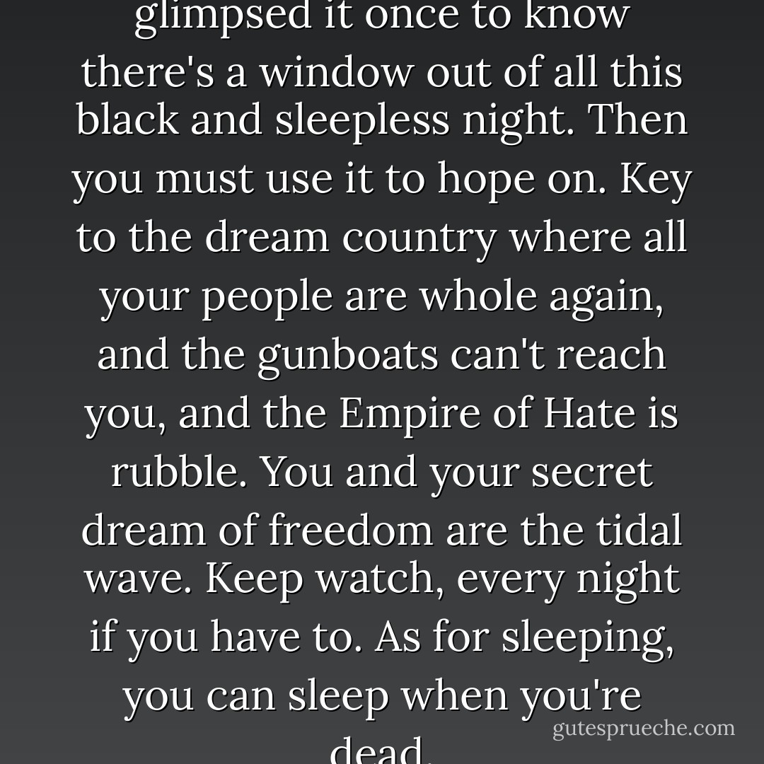You need only to have glimpsed it once to know there's a window out of all this black and sleepless night. Then you must use it to hope on. Key to the dream country where all your people are whole again, and the gunboats can't reach you, and the Empire of Hate is rubble. You and your secret dream of freedom are the tidal wave. Keep watch, every night if you have to. As for sleeping, you can sleep when you're dead. - Paul Monette