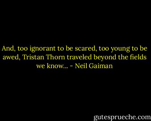 And, too ignorant to be scared, too young to be awed, Tristan Thorn traveled beyond the fields we know... - Neil Gaiman