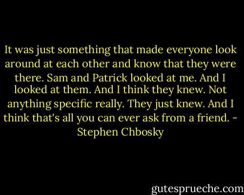 It was just something that made everyone look around at each other and know that they were there. Sam and Patrick looked at me. And I looked at them. And I think they knew. Not anything specific really. They just knew. And I think that's all you can ever ask from a friend. - Stephen Chbosky