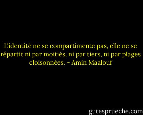 L'identité ne se compartimente pas, elle ne se répartit ni par moitiés, ni par tiers, ni par plages cloisonnées. - Amin Maalouf