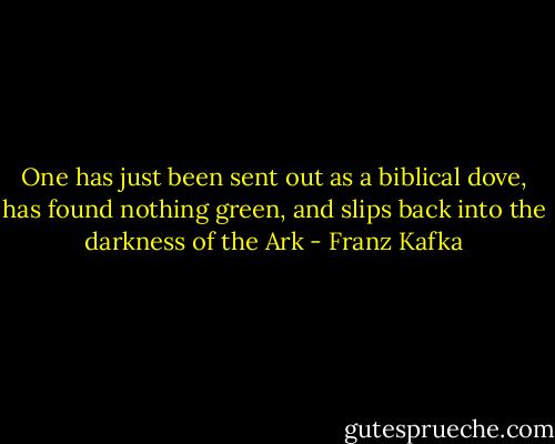 One has just been sent out as a biblical dove, has found nothing green, and slips back into the darkness of the Ark - Franz Kafka