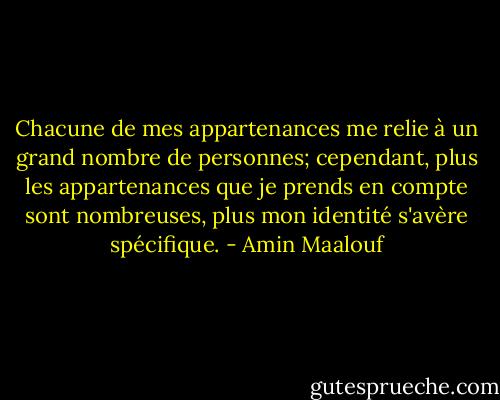 Chacune de mes appartenances me relie à un grand nombre de personnes; cependant, plus les appartenances que je prends en compte sont nombreuses, plus mon identité s'avère spécifique. - Amin Maalouf