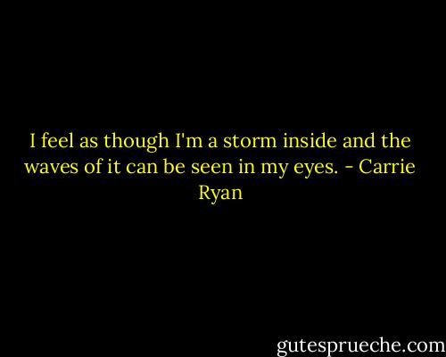 I feel as though I'm a storm inside and the waves of it can be seen in my eyes. - Carrie Ryan