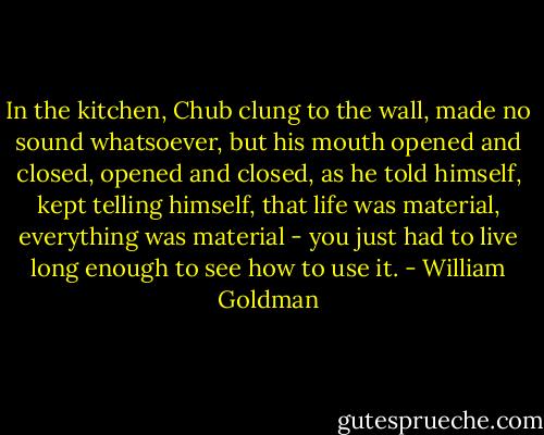 In the kitchen, Chub clung to the wall, made no sound whatsoever, but his mouth opened and closed, opened and closed, as he told himself, kept telling himself, that life was material, everything was material - you just had to live long enough to see how to use it. - William Goldman