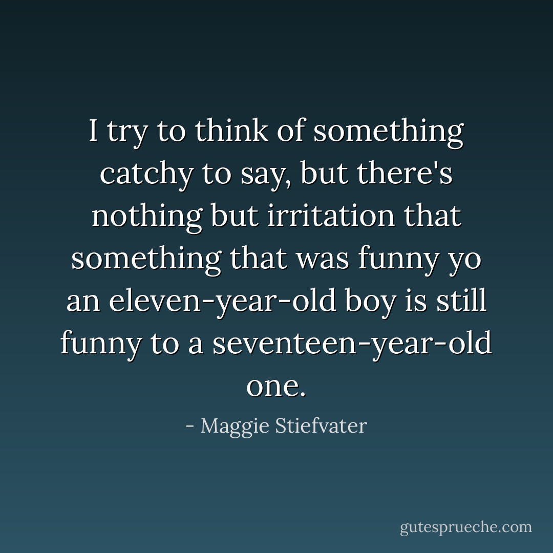 I try to think of something catchy to say, but there's nothing but irritation that something that was funny yo an eleven-year-old boy is still funny to a seventeen-year-old one. - Maggie Stiefvater