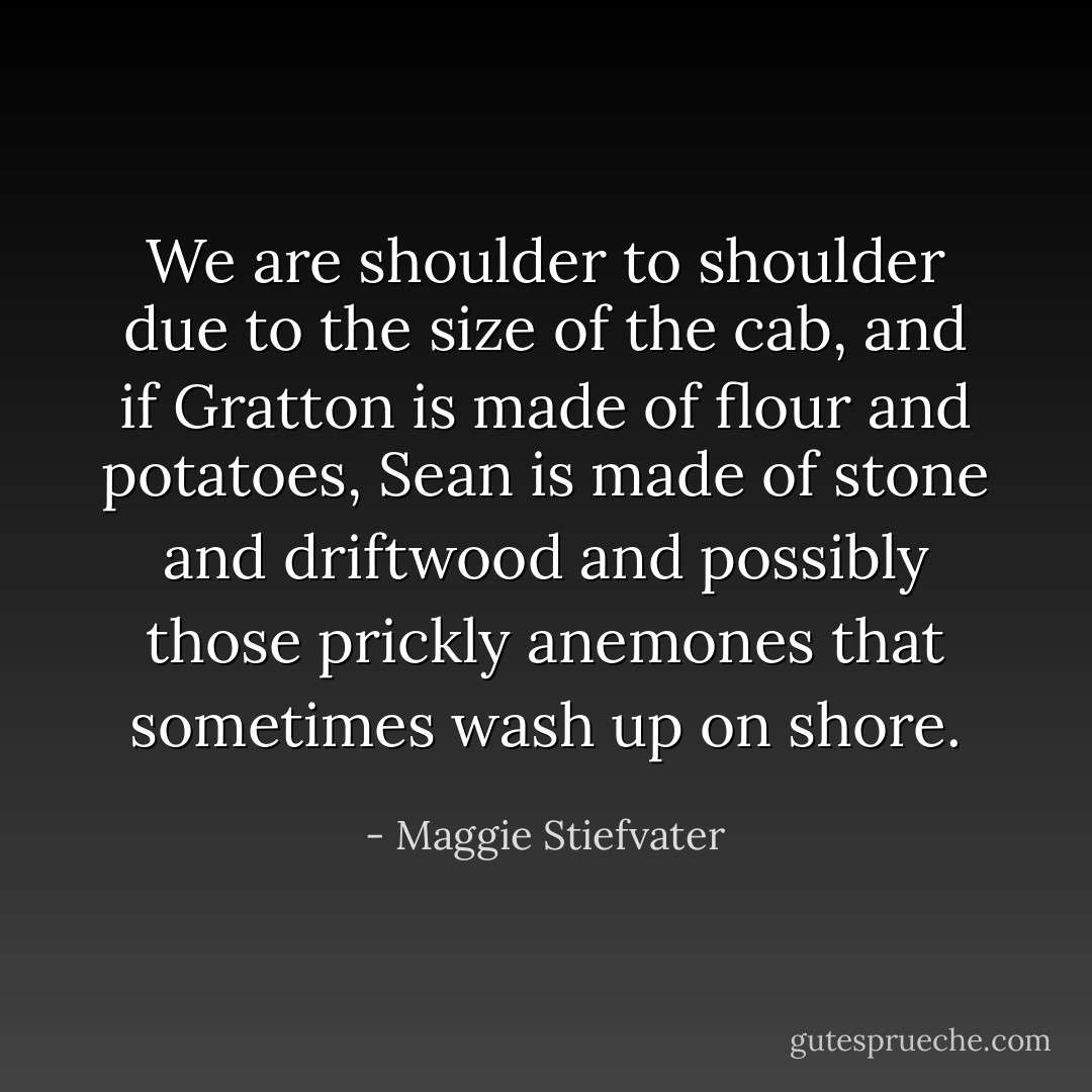 We are shoulder to shoulder due to the size of the cab, and if Gratton is made of flour and potatoes, Sean is made of stone and driftwood and possibly those prickly anemones that sometimes wash up on shore. - Maggie Stiefvater