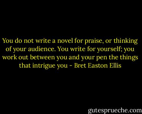 You do not write a novel for praise, or thinking of your audience. You write for yourself; you work out between you and your pen the things that intrigue you - Bret Easton Ellis